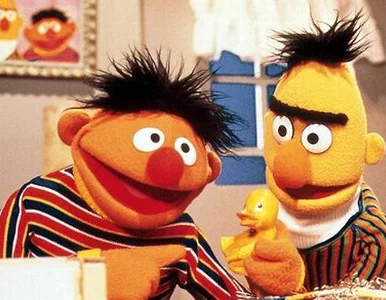 Miniatura: Twórcy "Ulicy Sezamkowej": Ernie i Bert...