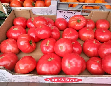 Miniatura: Sprzedawcy podnoszą ceny warzyw i owoców....