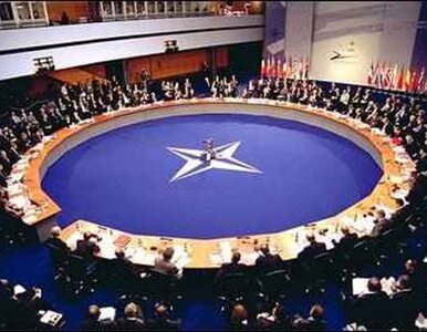 Miniatura: Szef MSZ Niemiec: Ukraina w NATO?...