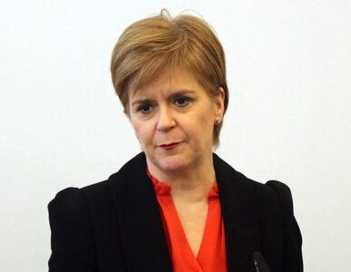 Miniatura: Pierwsza minister Szkocji Nicola Sturgeon...
