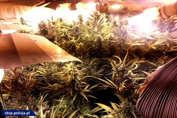 Materiały zabezpieczone przez policję 