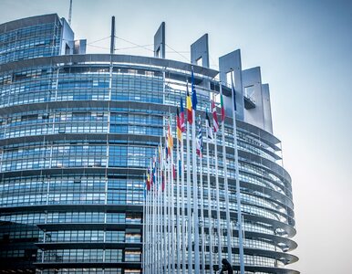 Miniatura: Parlament Europejski przyjął dyrektywę ws....