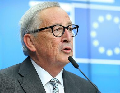 Miniatura: Juncker: Denerwowały mnie posądzenia o...