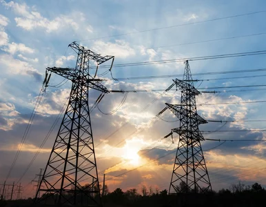 Miniatura: Eksperci: Polskiej energetyce brakuje...