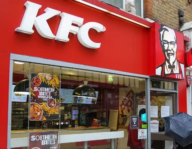 Miniatura: KFC testuje bezmięsne nuggetsy. Mają być...