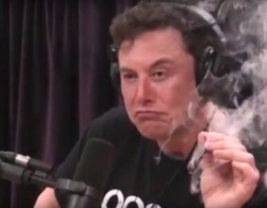 Miniatura: Elon Musk palił marihuanę podczas wywiadu...