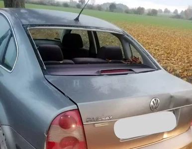 Miniatura: Wizyta na cmentarzu może go słono...