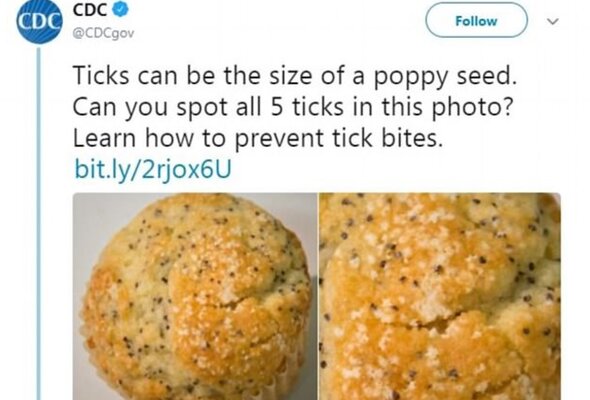 Miniatura: Co jest na tej babeczce?