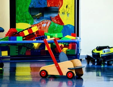 Miniatura: Rodzinny kapitał opiekuńczy i „żłobkowe”....