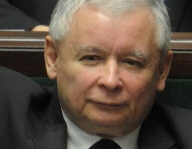 Miniatura: Kaczyński: in vitro to wielokrotna aborcja