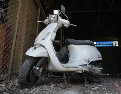 Miniatura: Audi, BMW i Mercedesy, a nawet Vespa. ZDM...