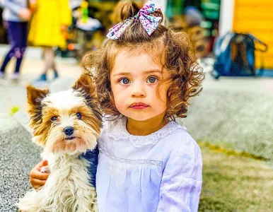 Miniatura: Jak państwo ściga pięciolatkę. Zajęli jej...