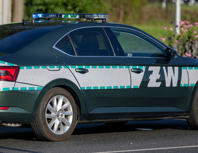 Miniatura: Szpieg w MON. Służby za czasów PiS...