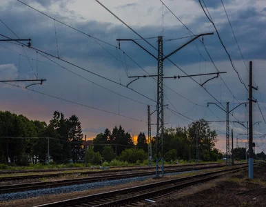 Miniatura: Polskie służby rozbiły siatkę rosyjskich...