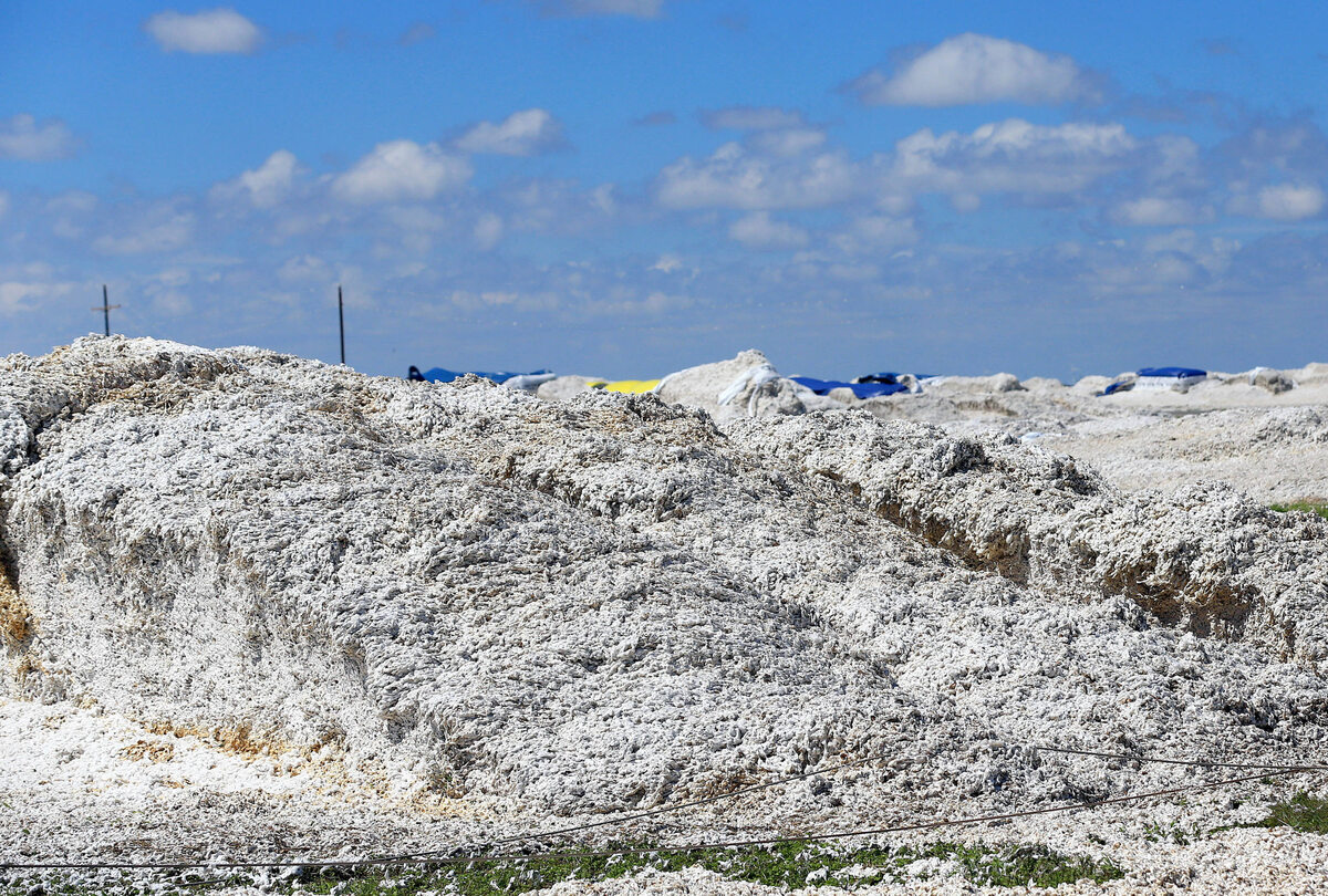 Bawełna pokrywająca port w Bayside w Teksasie po przejściu huraganu Harvey 