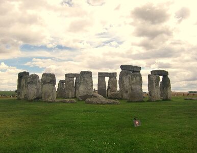 Miniatura: Anglicy odnawiają Stonehenge. "Kamienie...