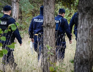 Miniatura: Obława na Grzegorza Borysa, część działań...