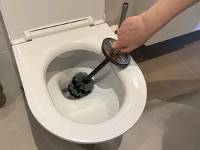 Miniatura: Wieczorem wsyp do&nbsp;muszli klozetowej...