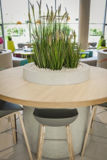 GALERIA MORENA DESIGN (3)