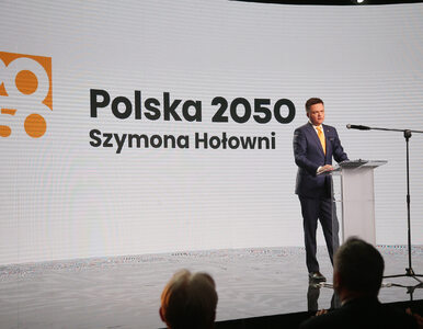 Miniatura: Polska 2050