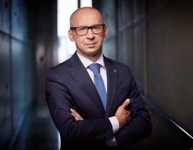 Miniatura: Czy Polska potrzebuje megamiasta? Nowa...