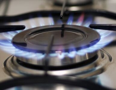Miniatura: Ukraina będzie płacić zaliczki za gaz?...