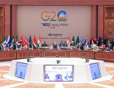 Miniatura: Grupa G20 osiągnęła konsensus ws. wspólnej...