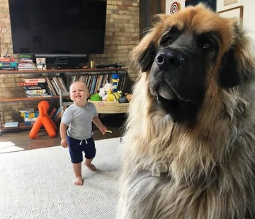 Lamont i jego przyjaciele 