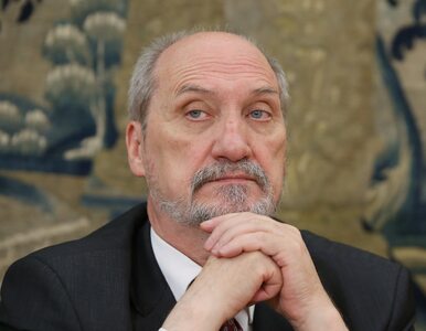 Miniatura: Macierewicz podważa ustalenia biegłych...