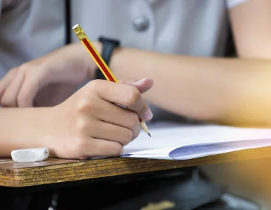 Miniatura: 10 pytań z ortografii. Nawet najlepsi mają...