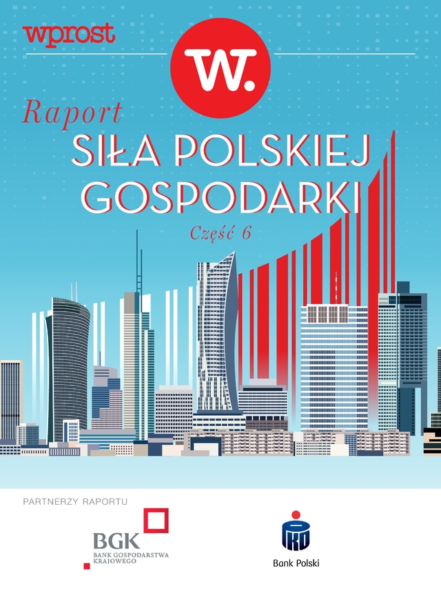Raport: Siła Polskiej Gospodarki cz.&nbsp;6