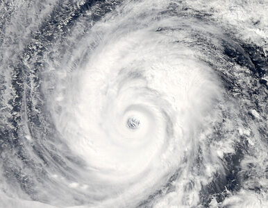 Miniatura: Potężny tajfun nad Japonią. Odwołano...