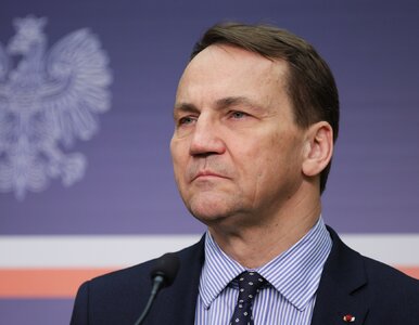 Miniatura: Sikorski i Kosiniak-Kamysz wystosowali...