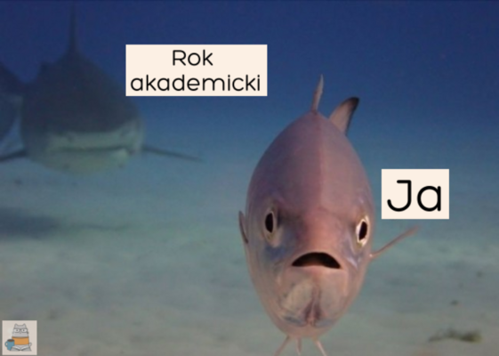 Miniatura: Początek roku akademickiego. Najlepsze...