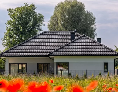 Miniatura: Kompleksowa efektywność energetyczna...