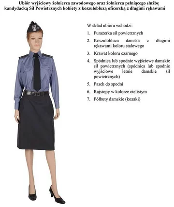 fot. MON/Polska-Zbrojna.pl