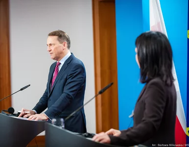 Miniatura: Sikorski: Będę prosił Niemcy, aby w...