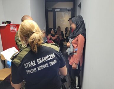 Miniatura: Nielegalni migranci na polsko-słowackiej...