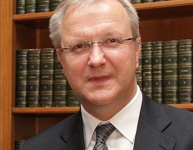 Miniatura: Rehn: w tym roku musimy rozwiązać kryzys