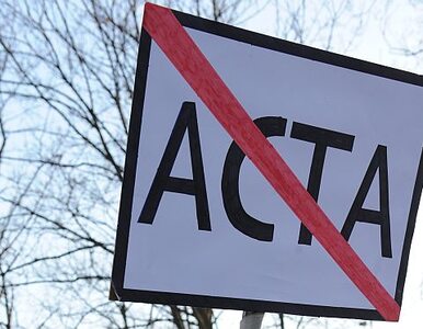 Miniatura: Tusk zawiesił ratyfikację ACTA....