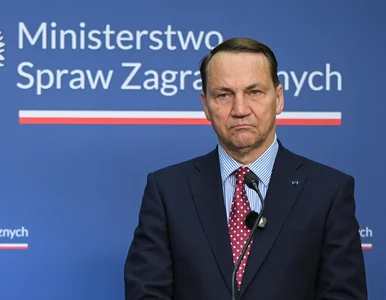 Miniatura: Sikorski wskazał, dlaczego Nawrocki nie...