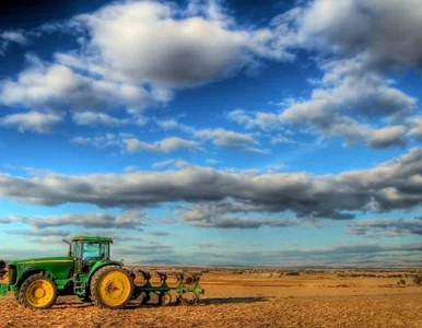 Miniatura: Najlepsza rolnik w Polsce jest kobietą