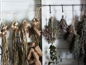 Zioła suszone na powietrzu smakują najlepiej! Jak to zrobić?