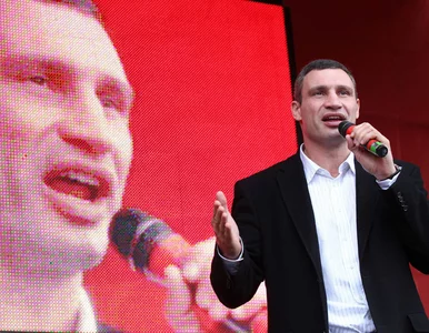 Miniatura: Bokser na podium