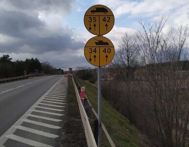 Miniatura: Nietypowe znaki drogowe w Polsce. Drogowcy...