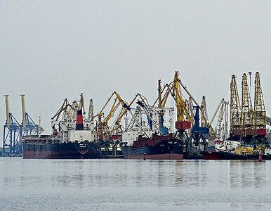 Miniatura: Ekolodzy zablokowali największy port...
