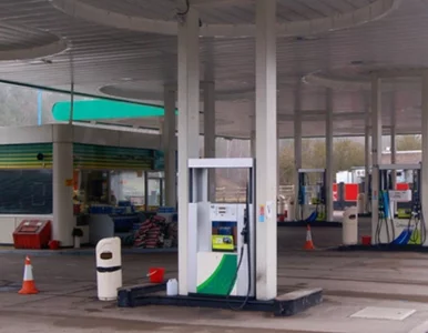 Miniatura: Wracając z wakacji zapomniała o córkach....