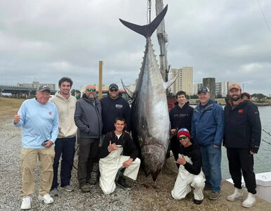 Miniatura: Rekord utrzymał się tylko kilka godzin. Do...