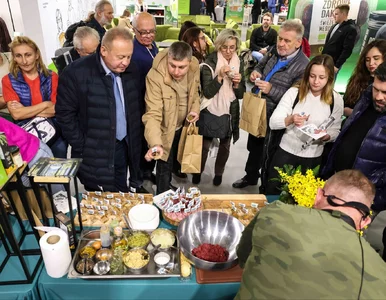 Miniatura: Global Food Expo – międzynarodowe centrum...