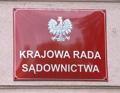 Miniatura: KRS zakończyła obrady. Jest komunikat w...